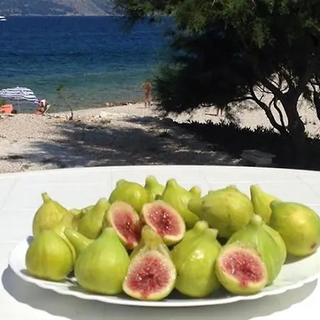 In Povlja With Sea View, Balcony, Air Conditioning Wifi 4936-1 -2 -3 * Povlja (Brac)